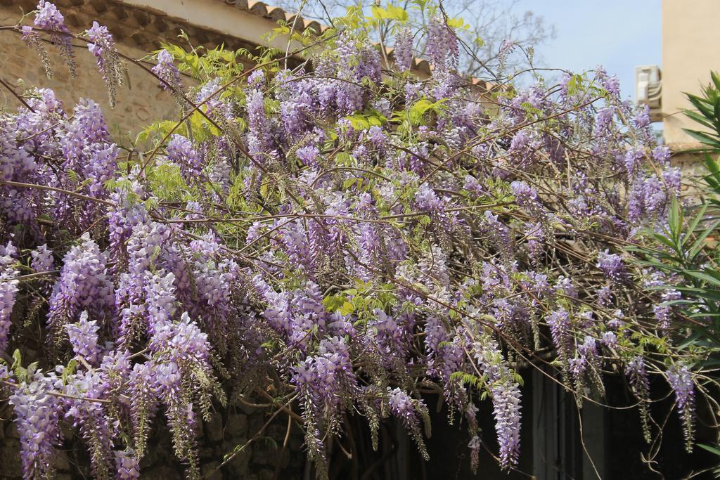 La Rose Bed & Breakfast Saint-Gervasy Exterior foto