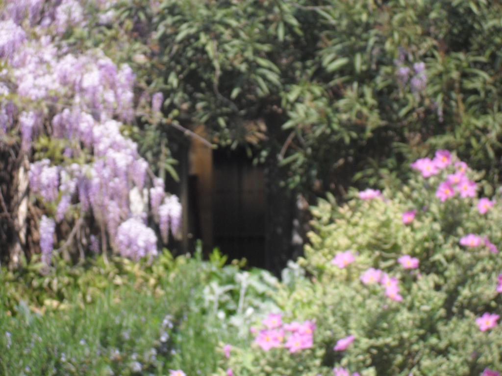 La Rose Bed & Breakfast Saint-Gervasy Exterior foto